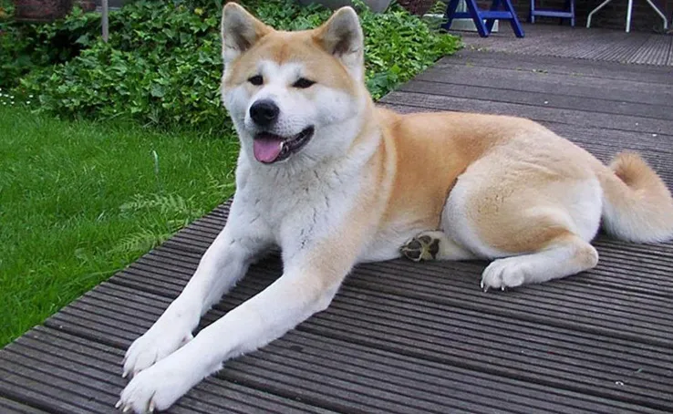 Hokkaido